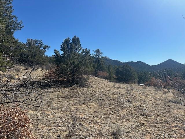 98 Discovery Road Westcliffe, CO 81252 - Photo 6 of 7