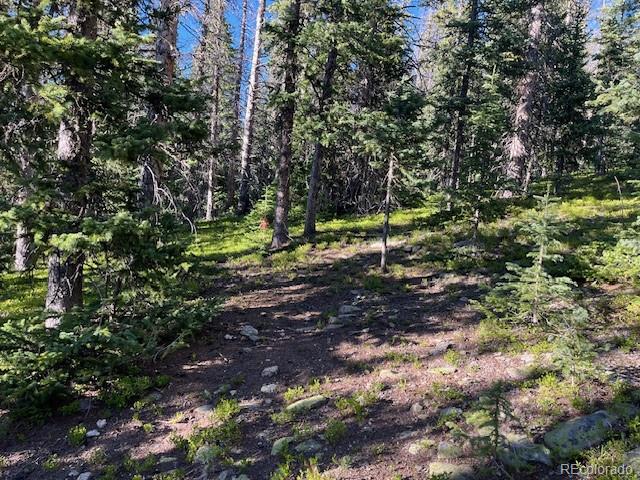 Lot 6525 Schlueter Road San Luis, CO 81152 - Photo 15 of 21