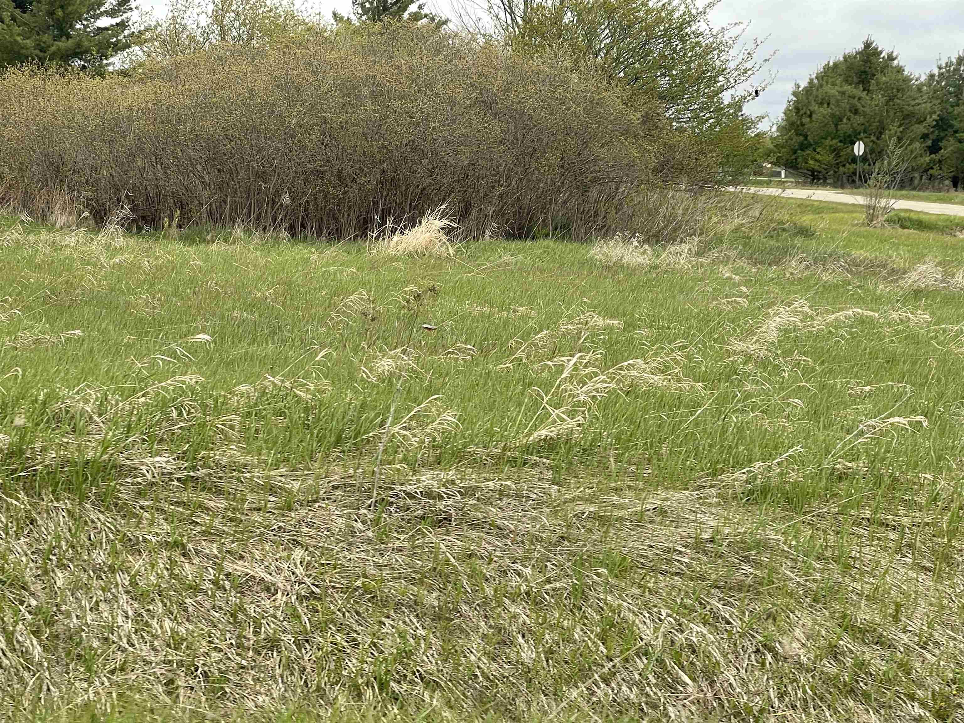 Tbd Fairfield Road Gladwin, MI 48624 - Photo 8 of 19