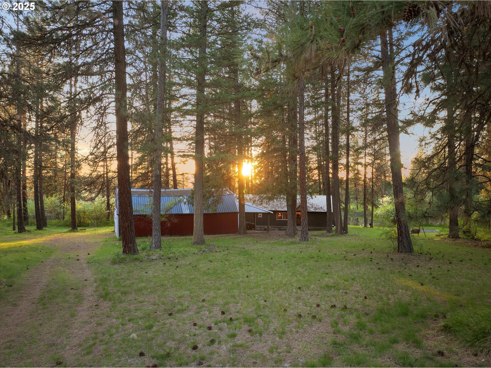 a view of a yard with tree s
