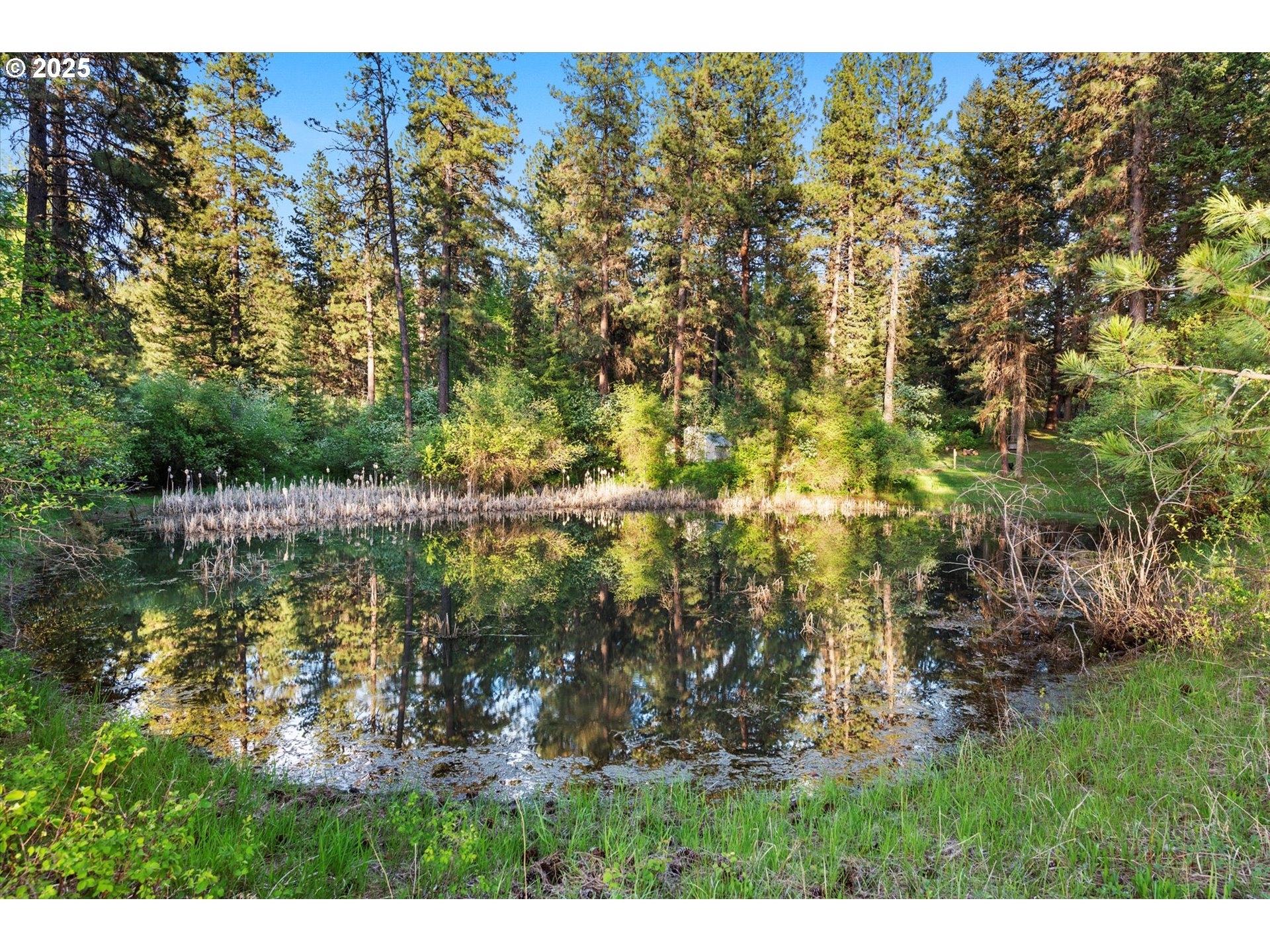 74576 Thompson Road Elgin, OR 97827 - Photo 14 of 47 a view of lake