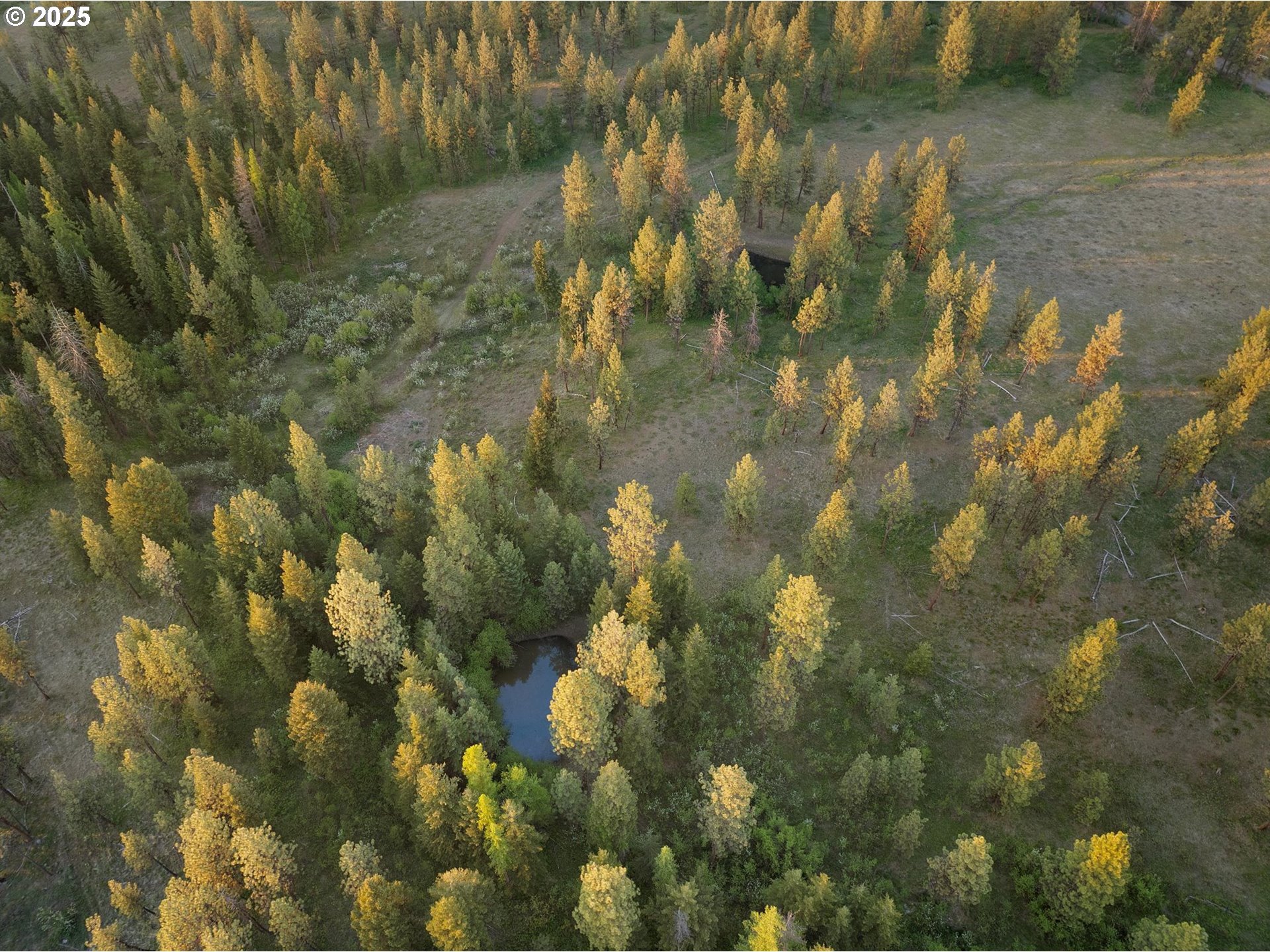 74576 Thompson Road Elgin, OR 97827 - Photo 20 of 47 a view of a lake