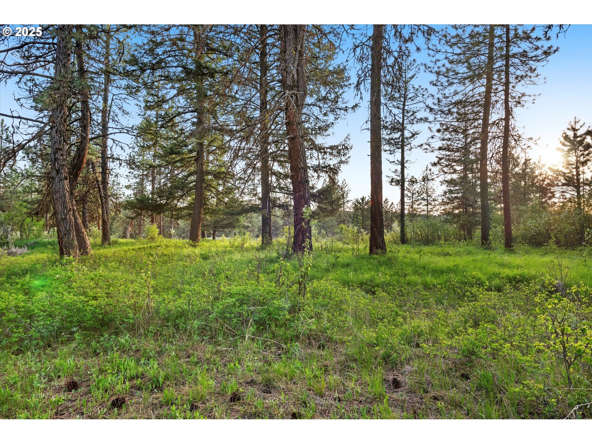 74576 Thompson Road Elgin, OR 97827 - Photo 24 of 47 a view of outdoor space with deck