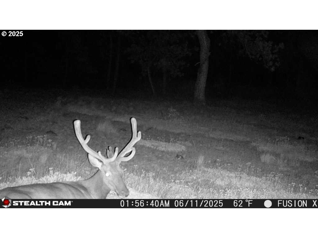 74576 Thompson Road Elgin, OR 97827 - Photo 41 of 47 a view of a back yard