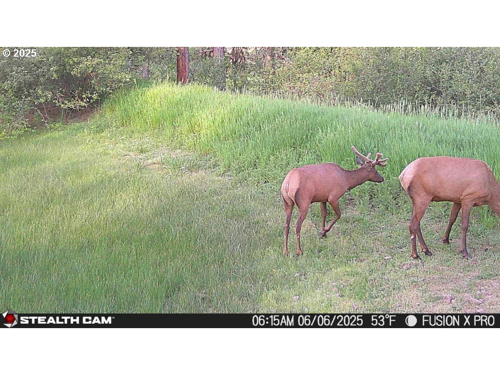 74576 Thompson Road Elgin, OR 97827 - Photo 42 of 47 a view of a garden with a lake view