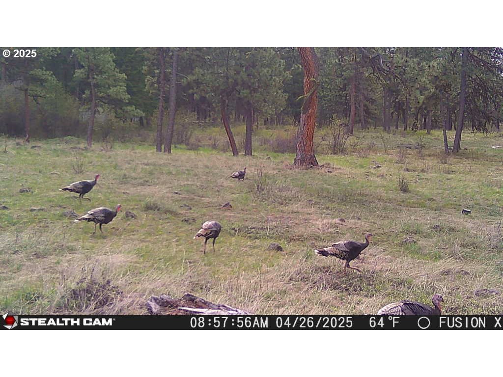 74576 Thompson Road Elgin, OR 97827 - Photo 45 of 47 a black and white photo of a house