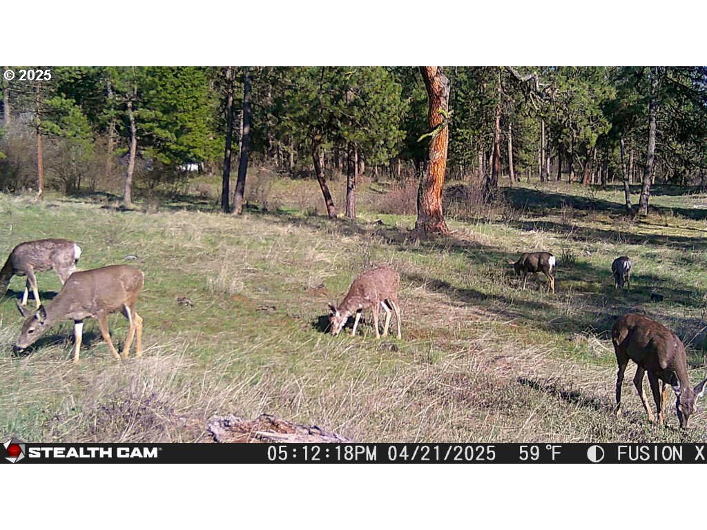 74576 Thompson Road Elgin, OR 97827 - Photo 46 of 47