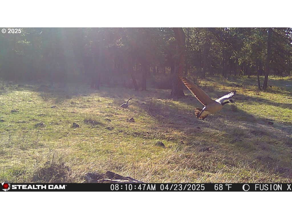 74576 Thompson Road Elgin, OR 97827 - Photo 47 of 47