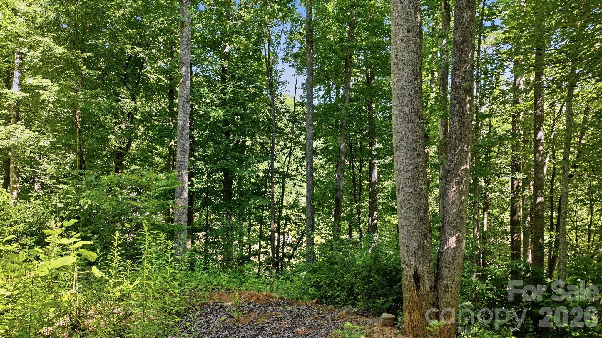 618 Dark Ridge Road Sylva, NC 28779 - Photo 16 of 18