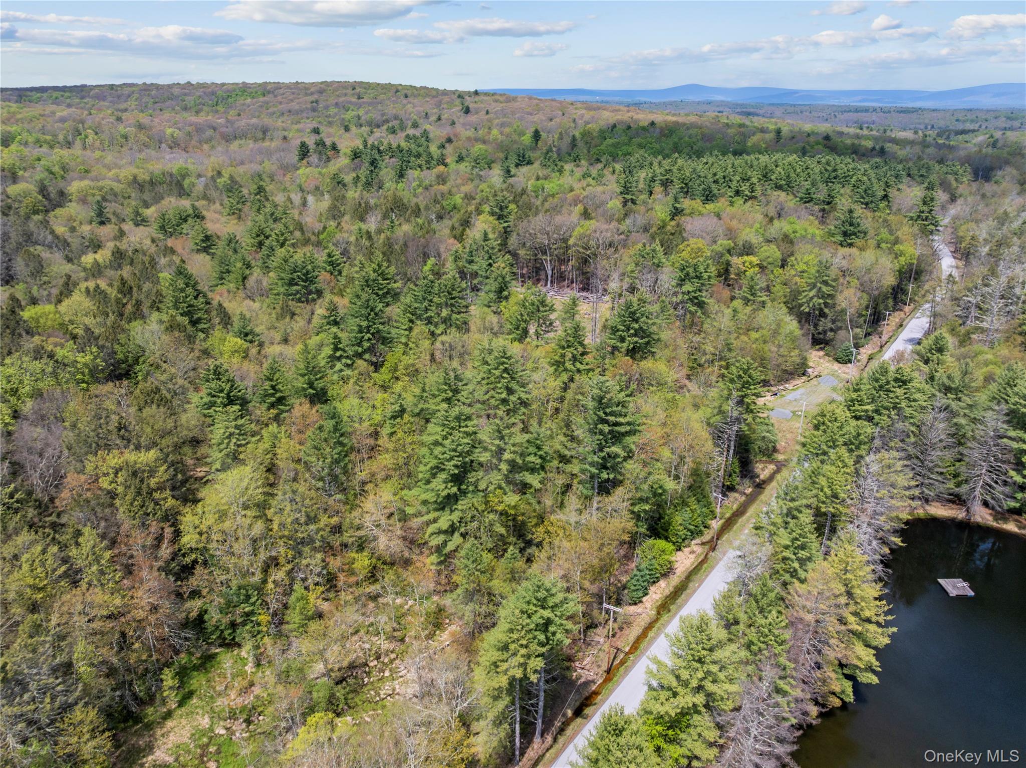 Church Road Fallsburg, NY 12733 - Photo 11 of 12