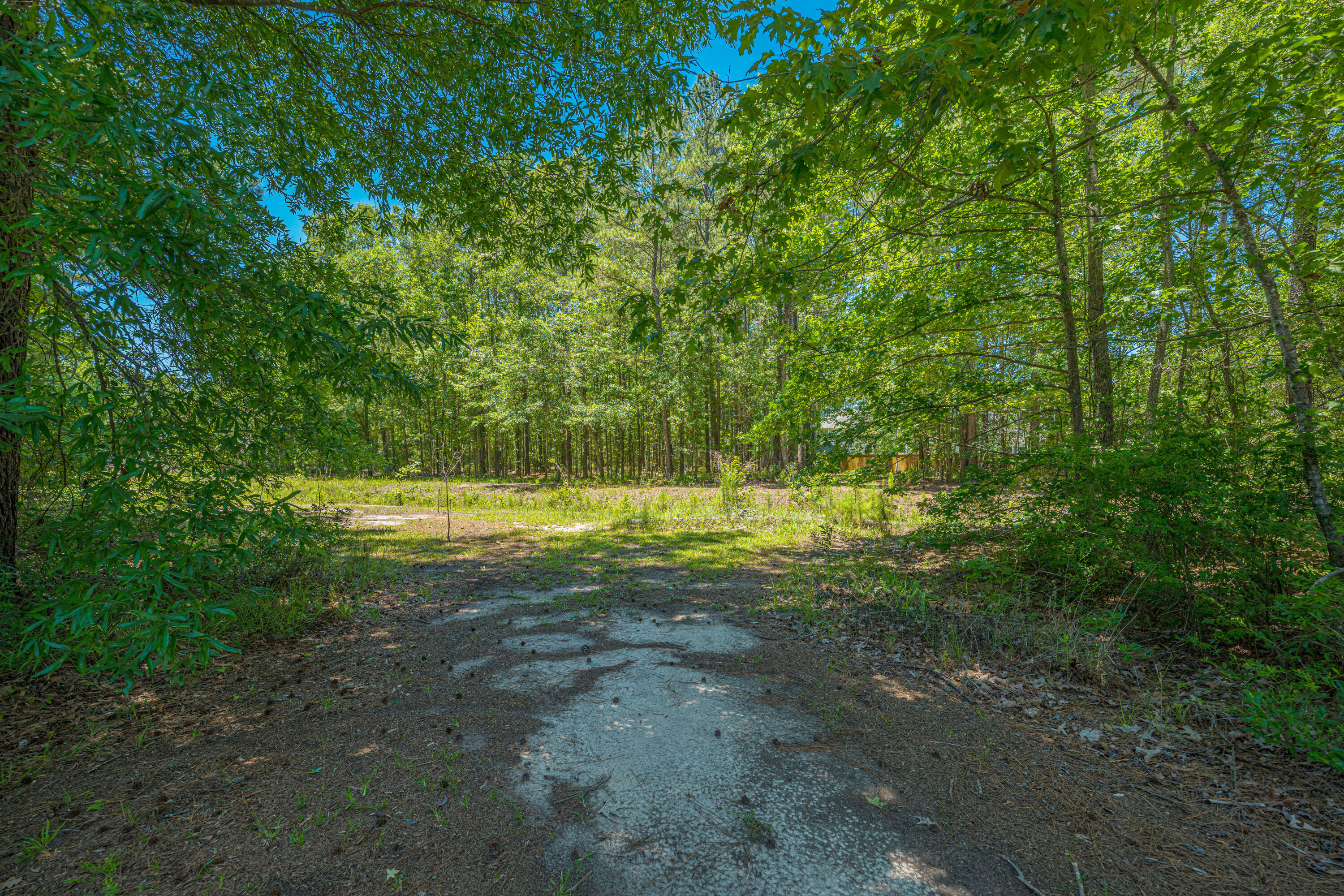 3013 Flat Rock Lane Ridgeville, SC 29472 - Photo 60 of 66 3013FlatRockLn060