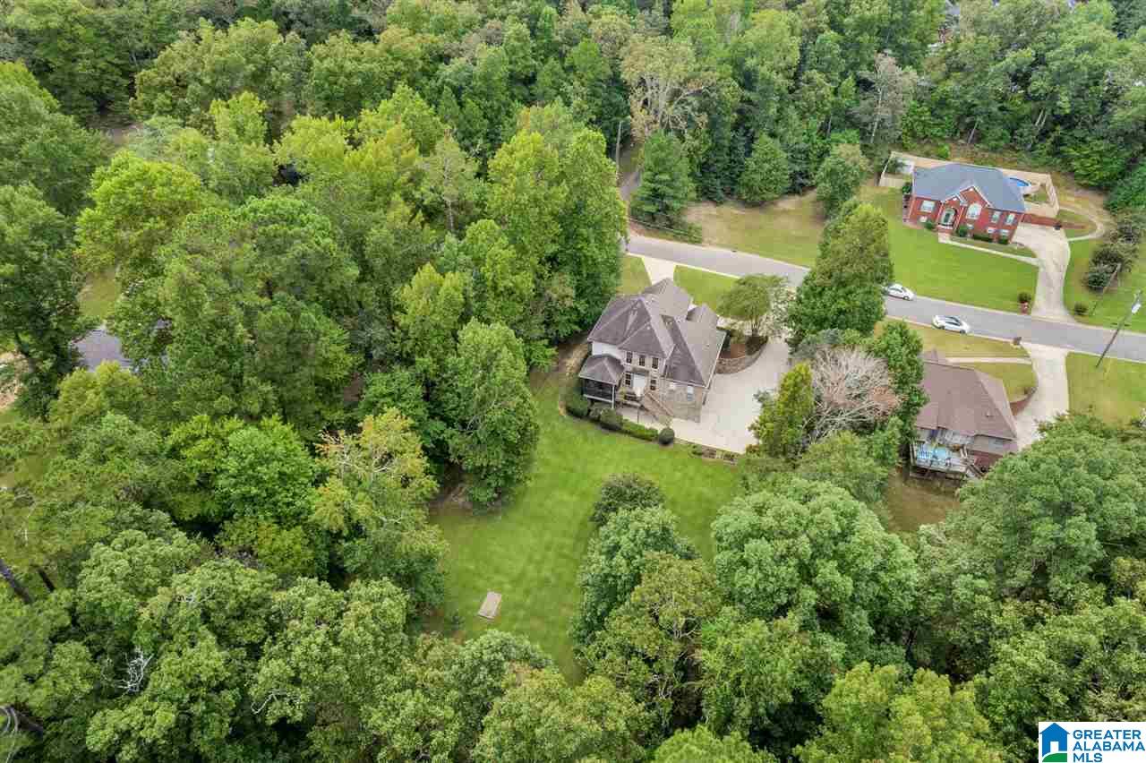 8209 Serene Lake Road McCalla, AL 35111 - Photo 49 of 50