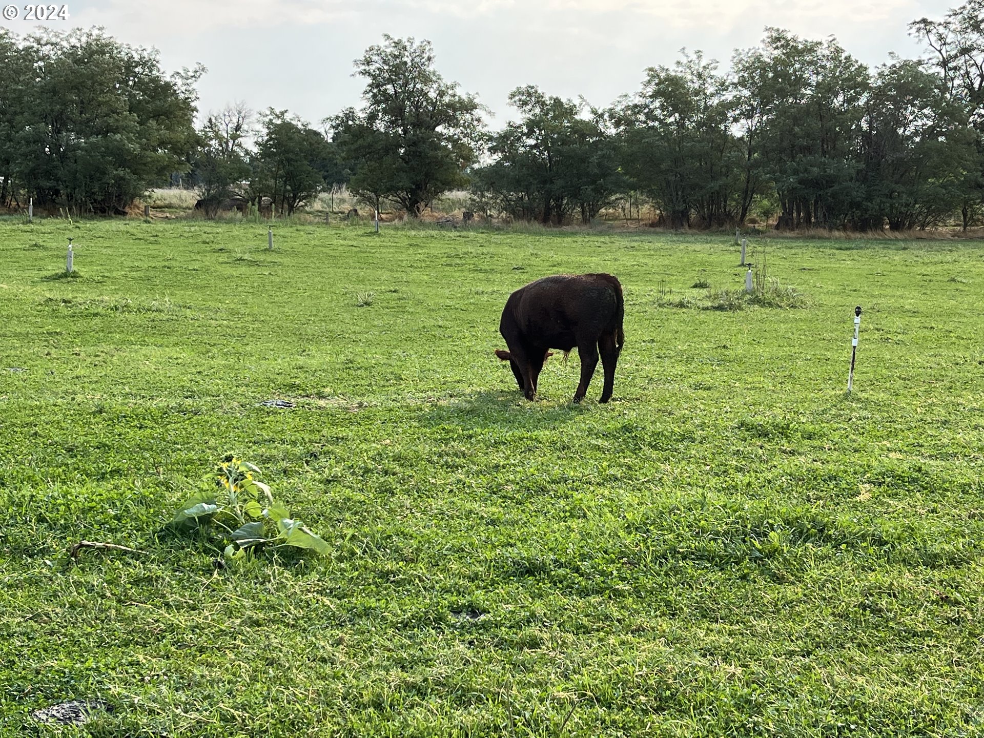 78717 Echols Road, Unit 2 Hermiston, OR 97838 - Photo 4 of 4