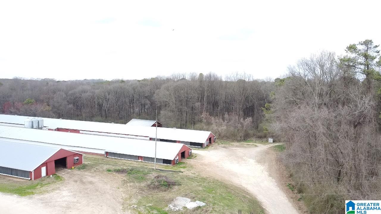 10171 County Road 87 Roanoke, AL 36274 - Photo 37 of 42