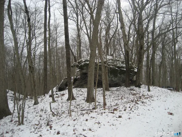 a backyard of a house with lots of the trees