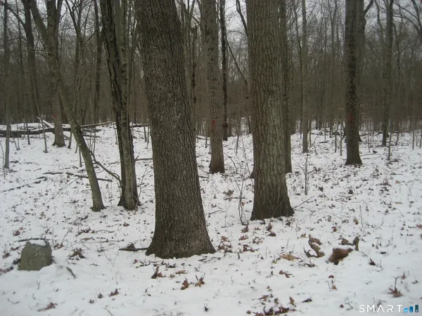 a view of a backyard of the house