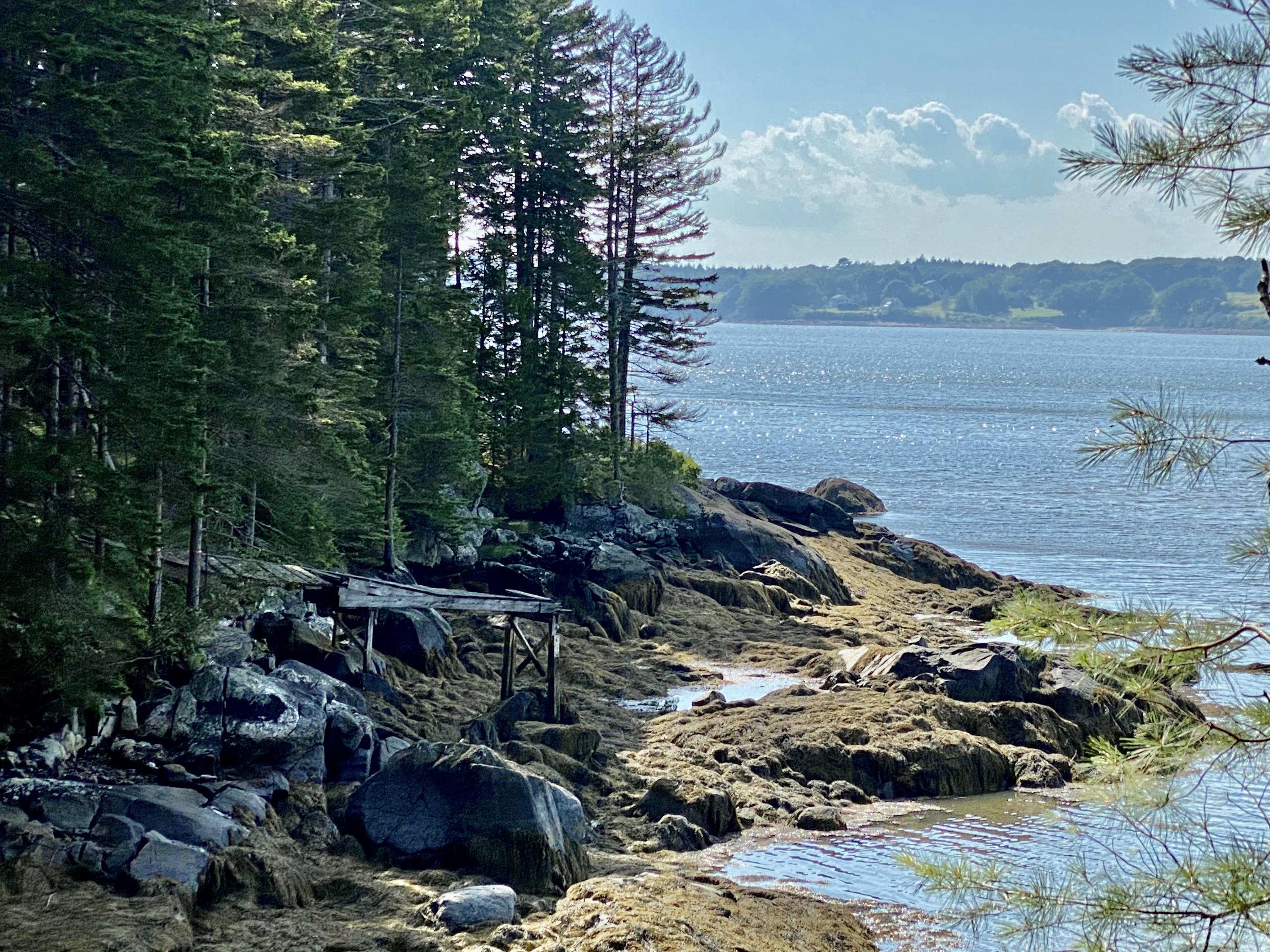 398 Wallston Road St. George, ME 04860 - Photo 56 of 68 Dock Needs Repair - Property Extends to