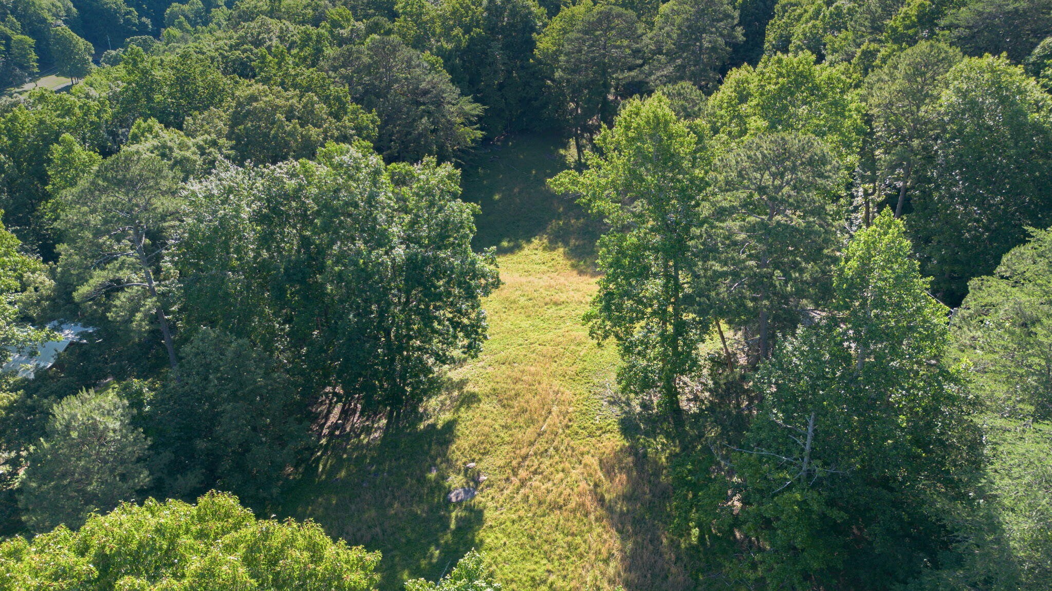 364 Gregg Road Dunlap, TN 37327 - Photo 10 of 23