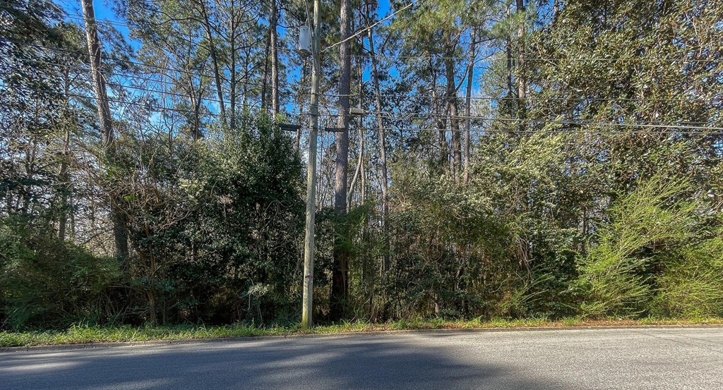 0 Shady Brook Lane Dothan, AL 36303 - Photo 7 of 7