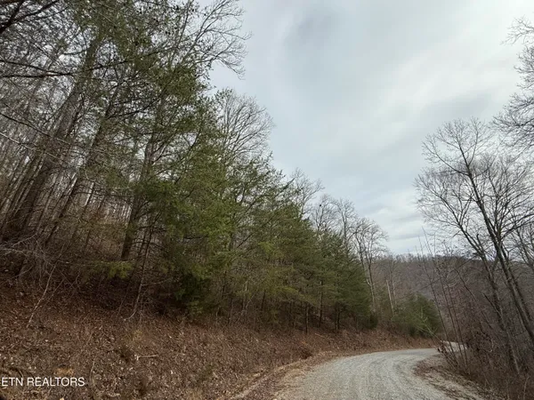 $89,900 | Jones Ridge Rd Road, Speedwell, TN 37870