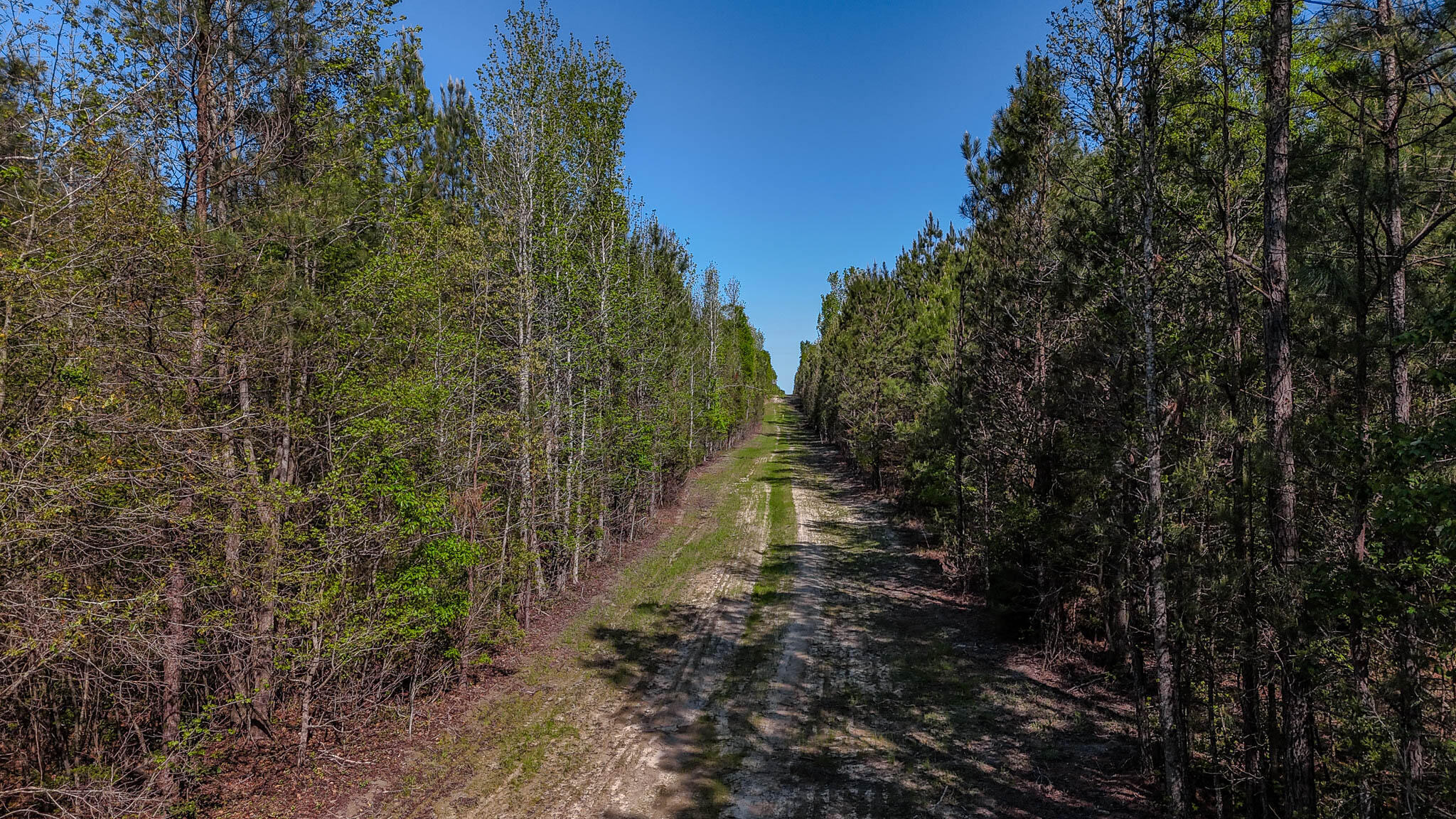 0 Phillips Church Road Bishopville, SC 29010 - Photo 4 of 14 Phillips Church Road Compass South SC La