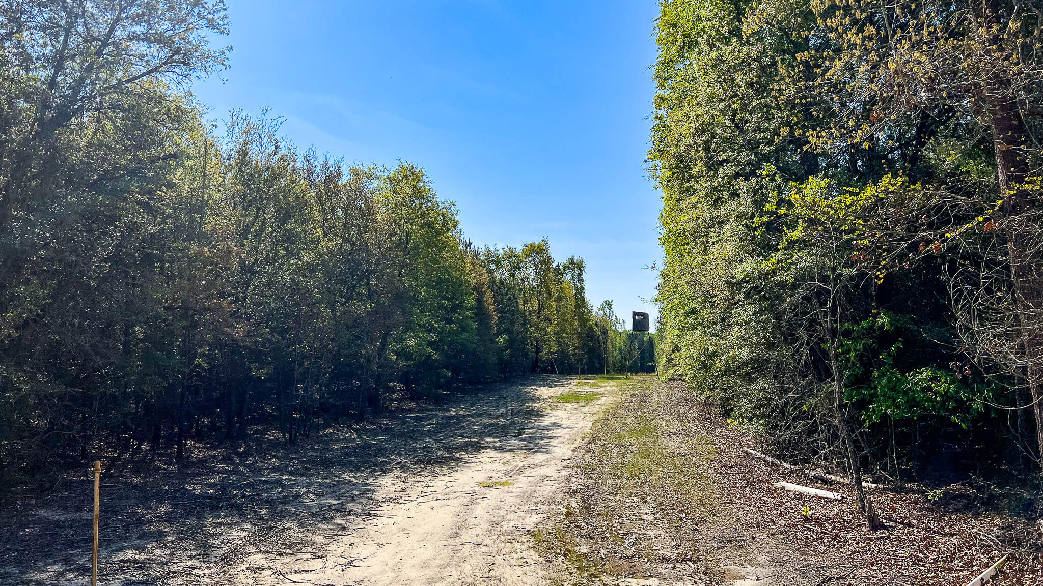 0 Phillips Church Road Bishopville, SC 29010 - Photo 5 of 14 Phillips Church Road Compass South SC La