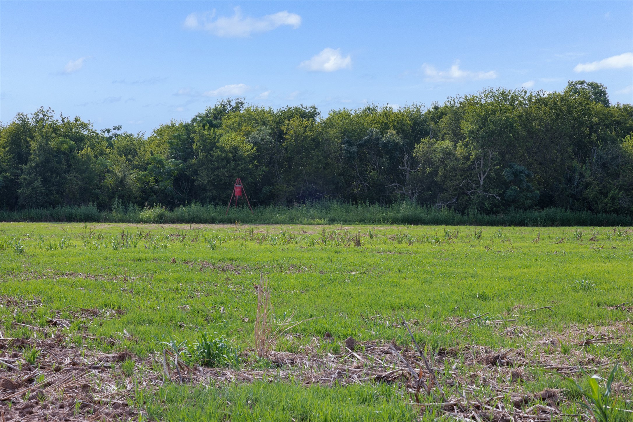 212-ac Black Bridge Road Calvert, TX 77837 - Photo 11 of 23