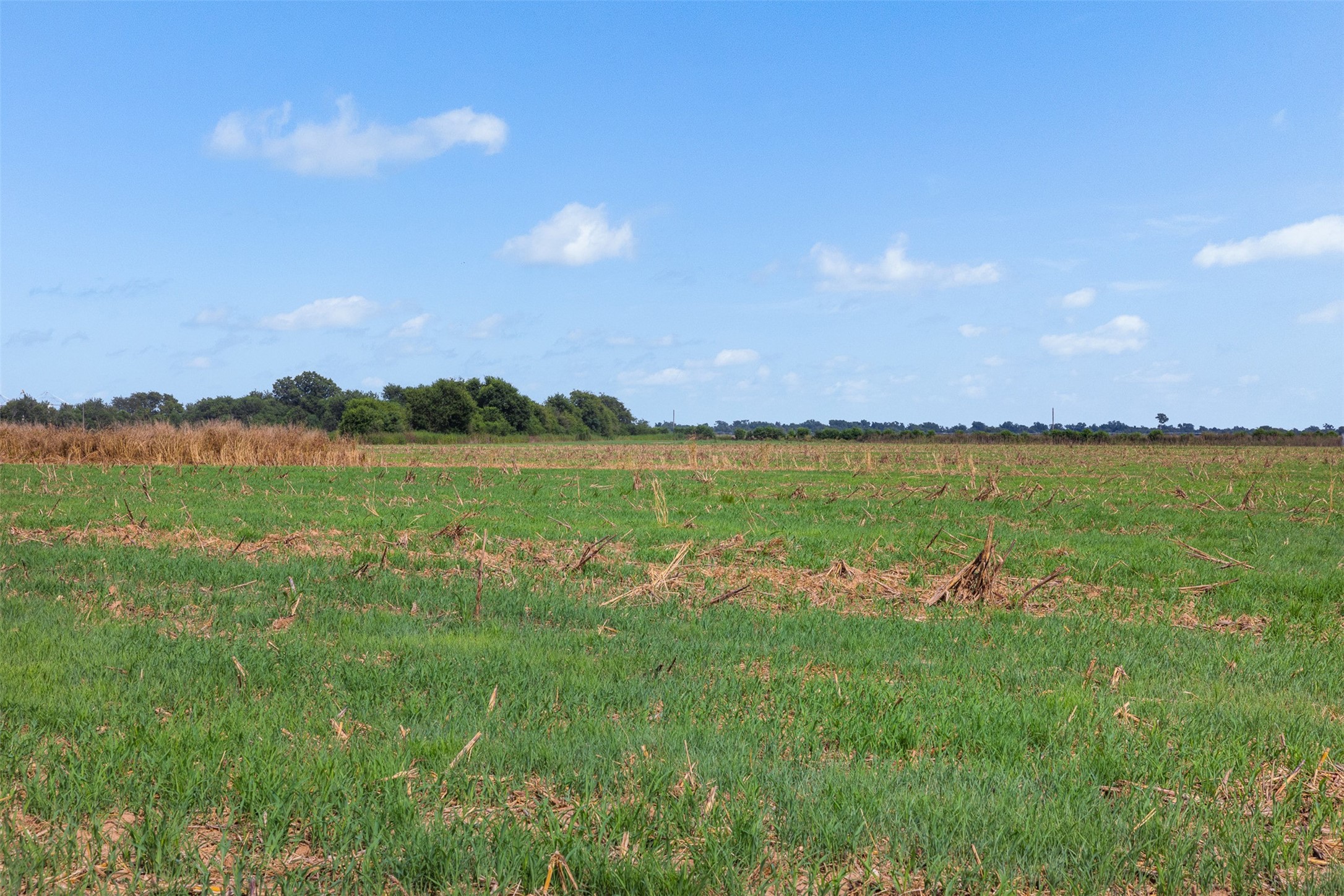 212-ac Black Bridge Road Calvert, TX 77837 - Photo 13 of 23 a view of a lake with houses in the back