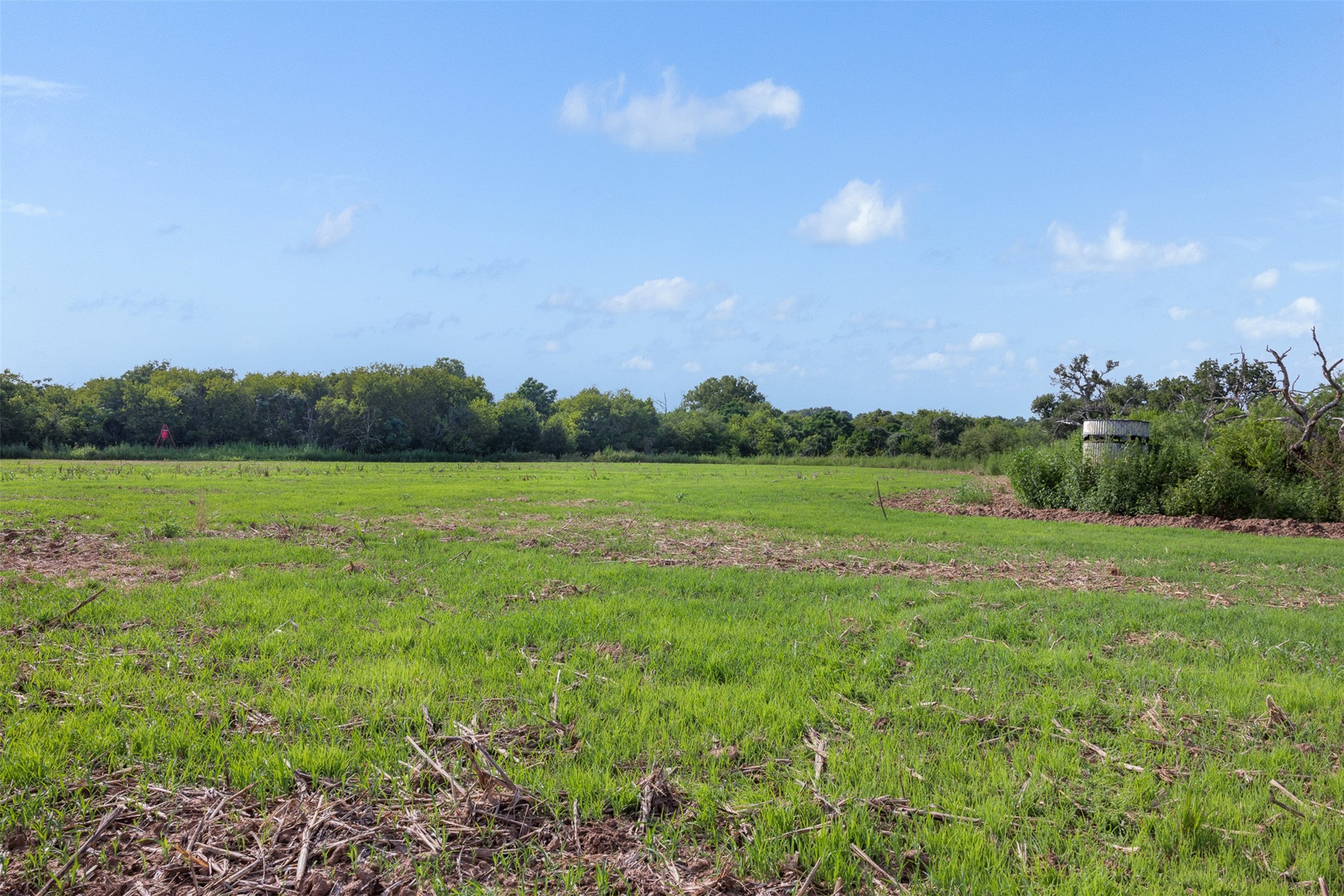 212-ac Black Bridge Road Calvert, TX 77837 - Photo 14 of 23 a view of yard with swimming pool and green space