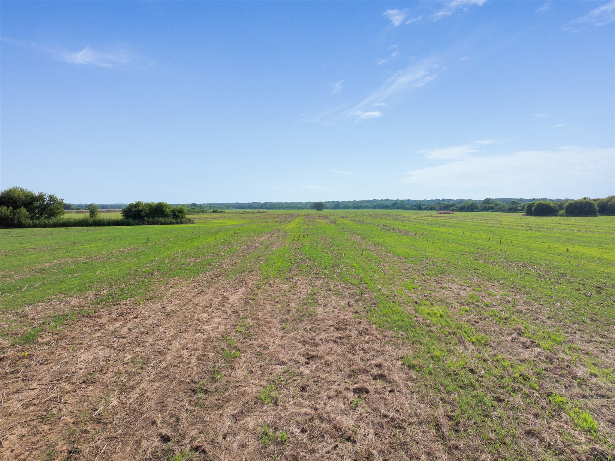 212-ac Black Bridge Road Calvert, TX 77837 - Photo 17 of 23