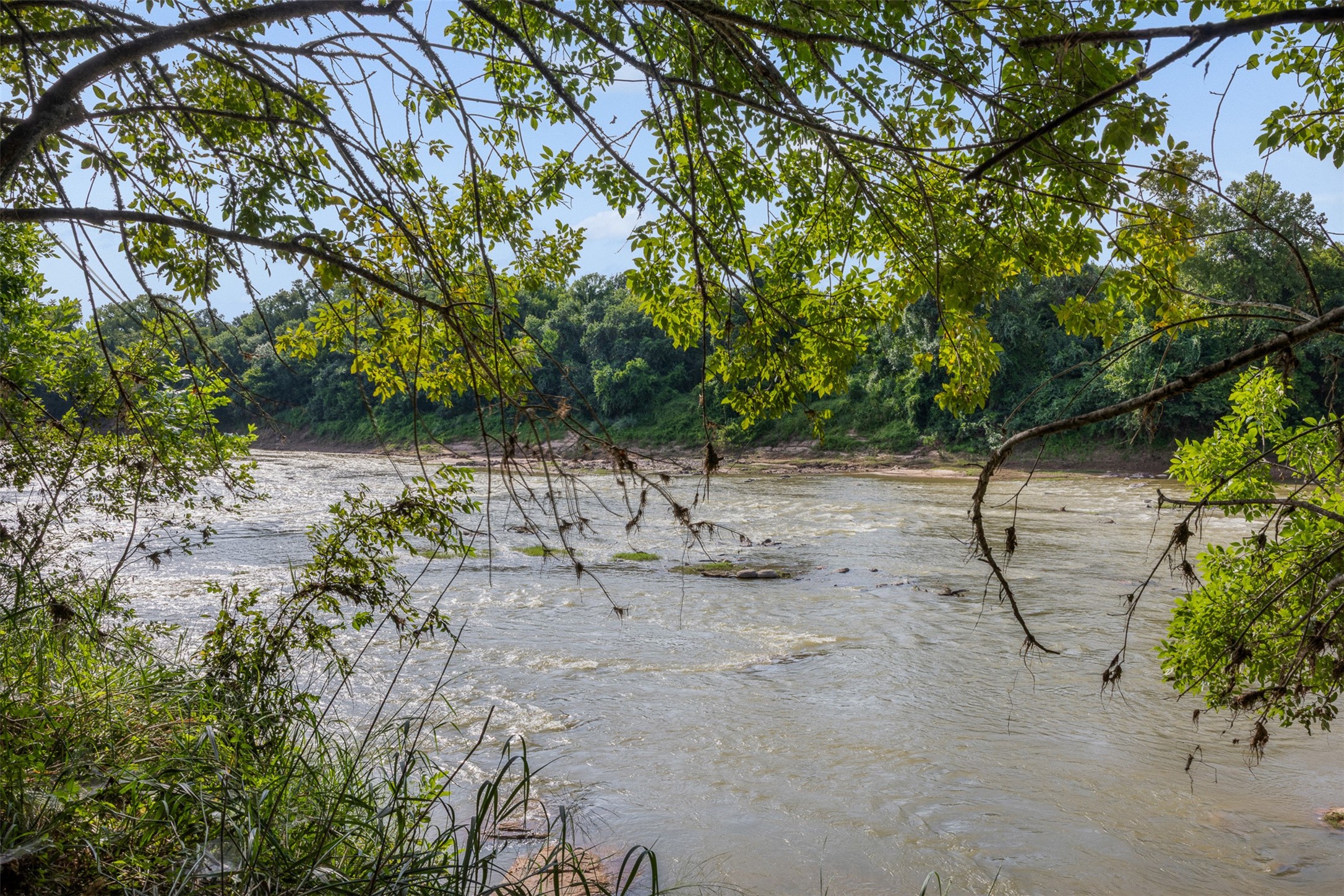 212-ac Black Bridge Road Calvert, TX 77837 - Photo 5 of 23 a backyard of a house with lots of green space