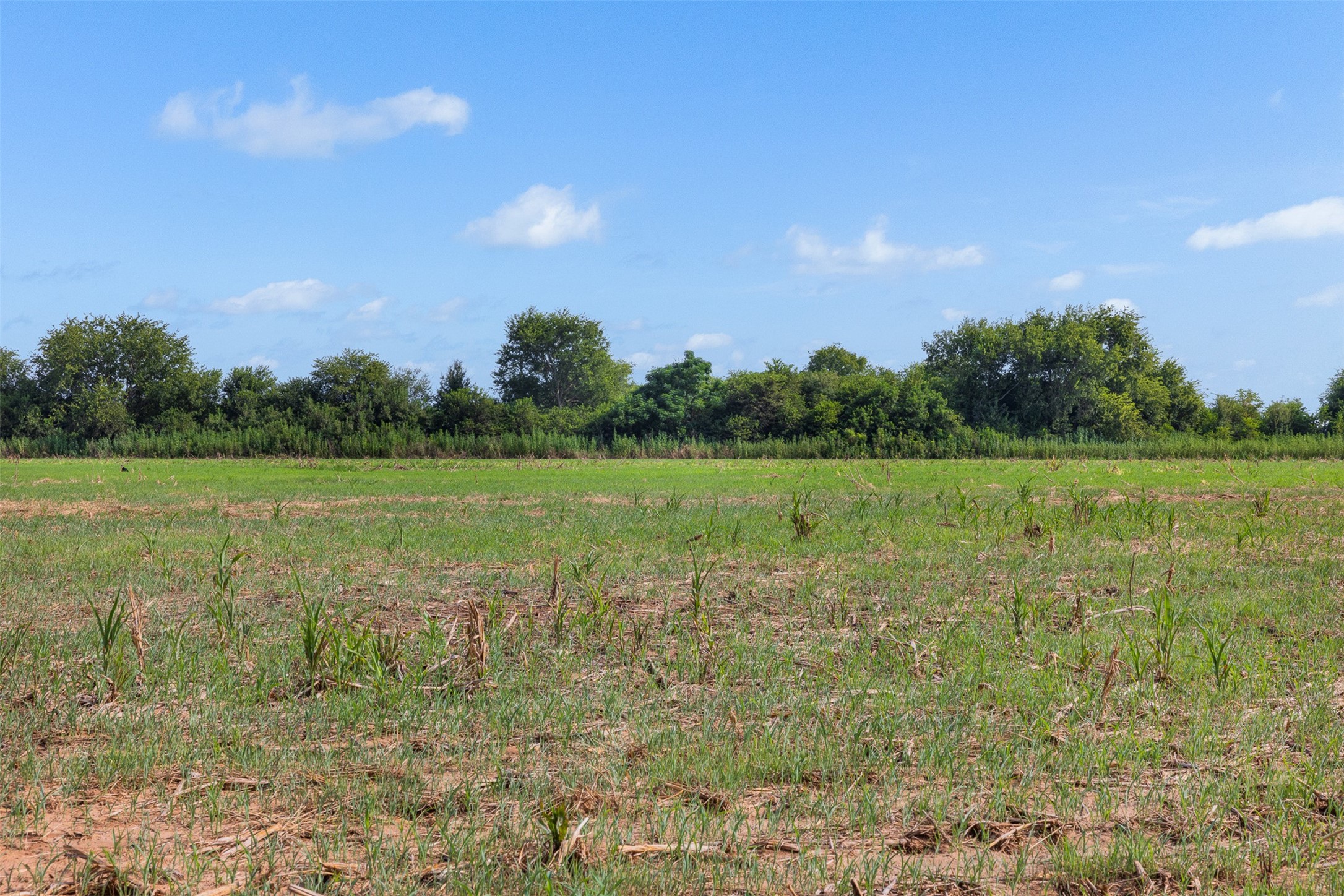 212-ac Black Bridge Road Calvert, TX 77837 - Photo 9 of 23 a view of a lake view with a big yard
