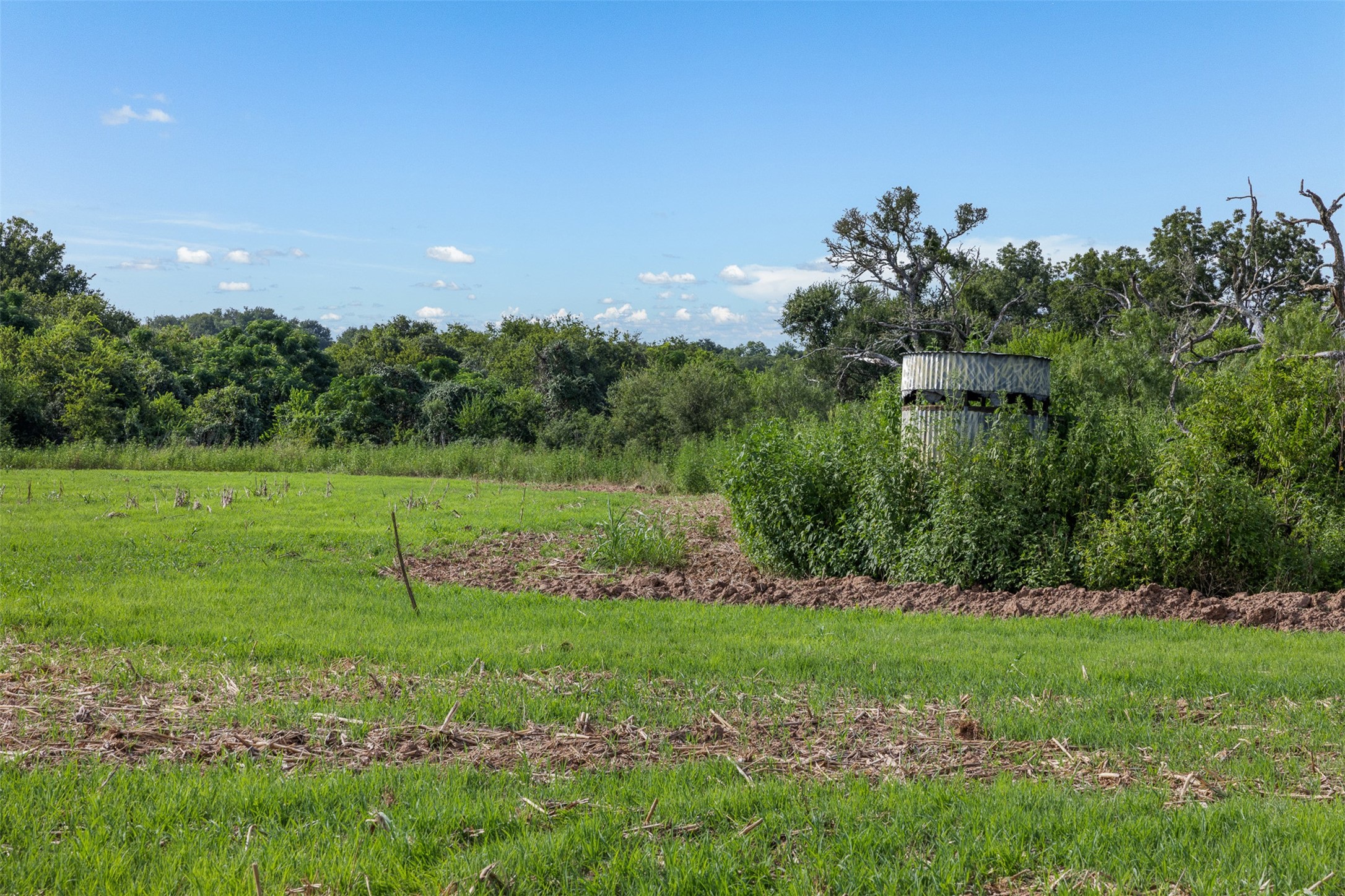 212-ac Black Bridge Road Calvert, TX 77837 - Photo 10 of 23 a view of a garden with a lake