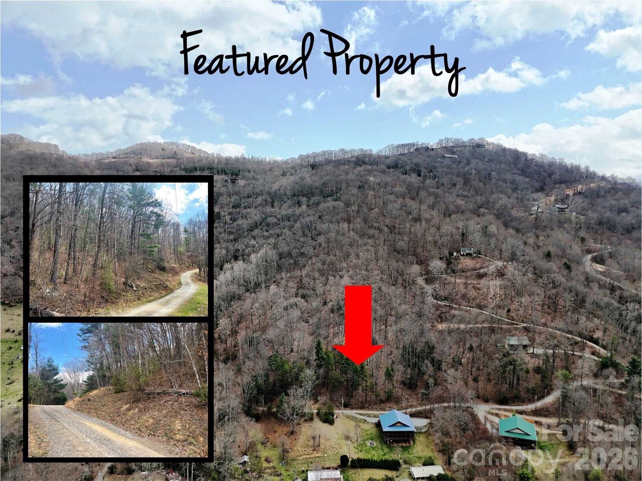 Tbd Moonbeam Lane, Unit 101 102 Clyde, NC 28721 - Photo 2 of 20 a view of outdoor space