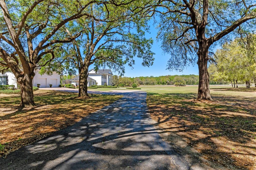 19845 County Road 561 Clermont, FL 34715 - Photo 81 of 86