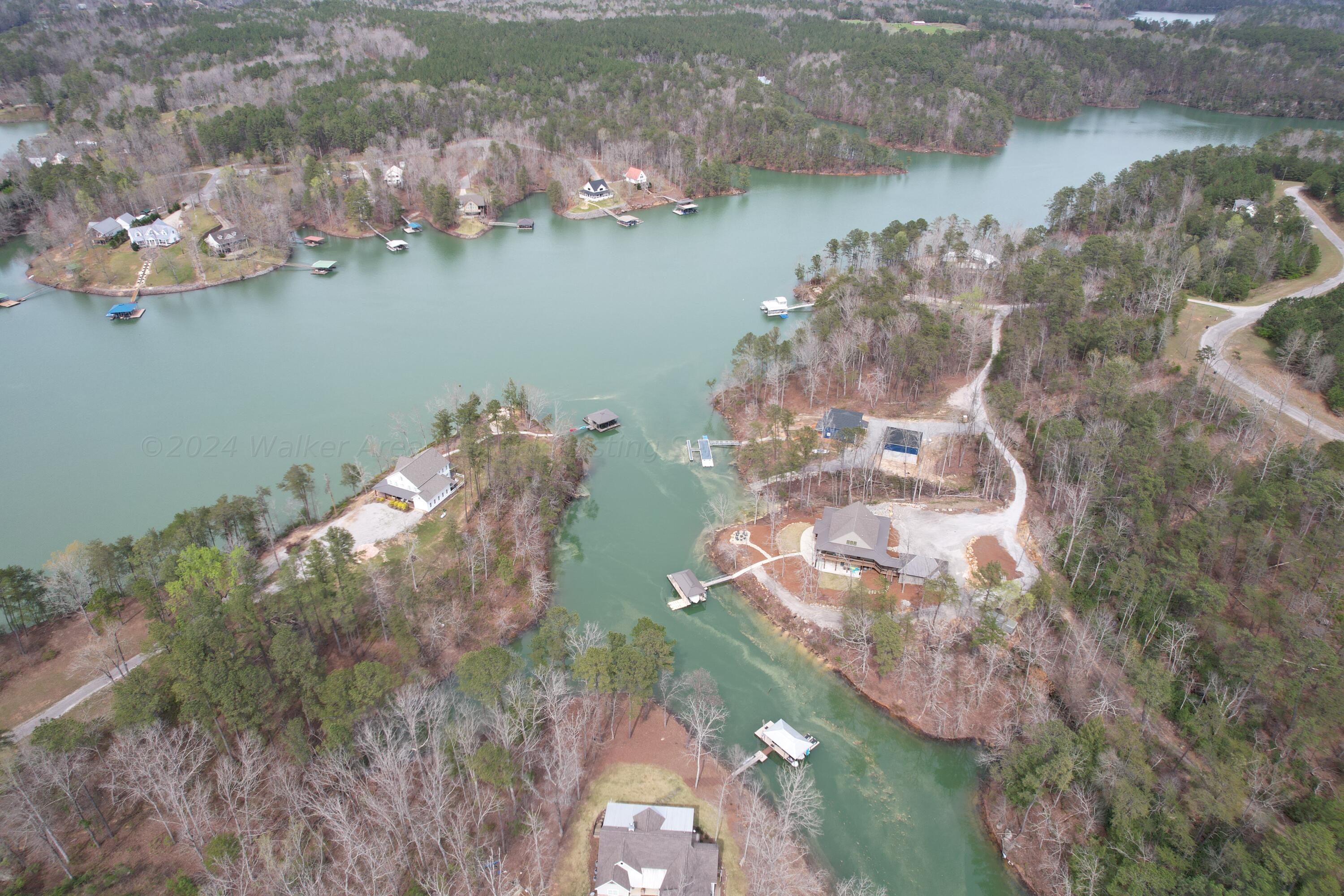 27 Long Leaf Road Lynn, AL 35575 - Photo 4 of 12 Gallery Image 4
