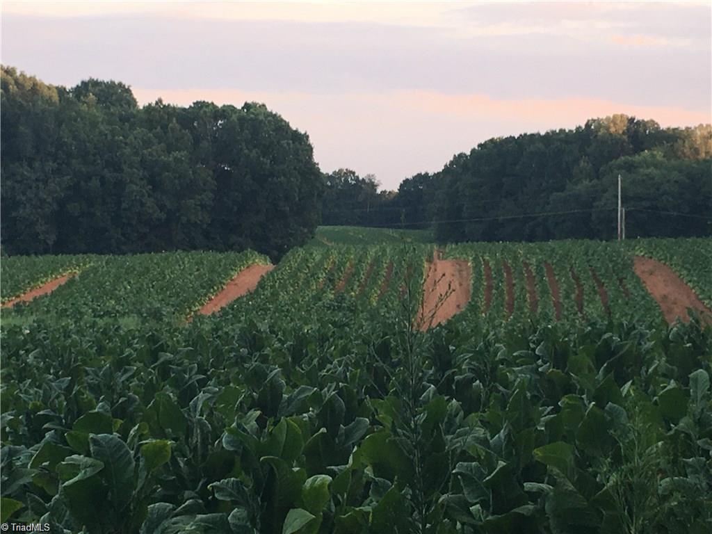 10.9-ac Creed Road Ararat, NC 27007 - Photo 1 of 9 Gallery Image 1