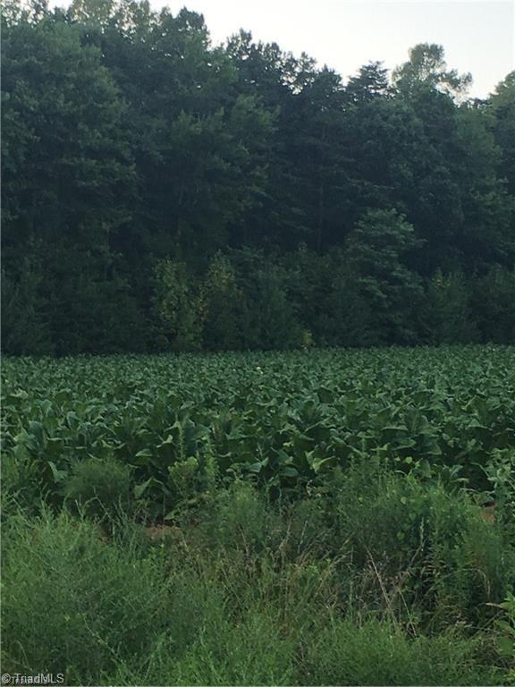10.9-ac Creed Road Ararat, NC 27007 - Photo 2 of 9 Gallery Image 2