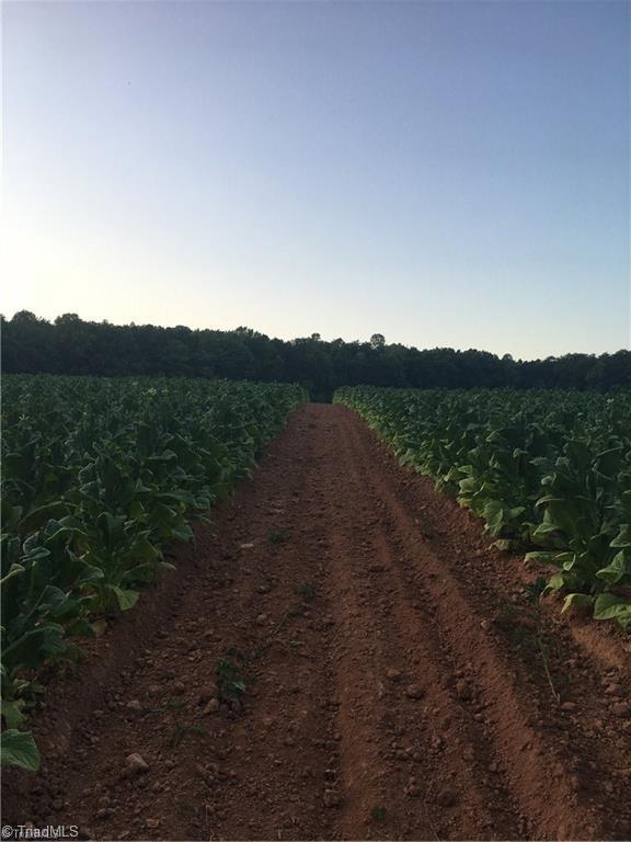 10.9-ac Creed Road Ararat, NC 27007 - Photo 3 of 9 Gallery Image 3