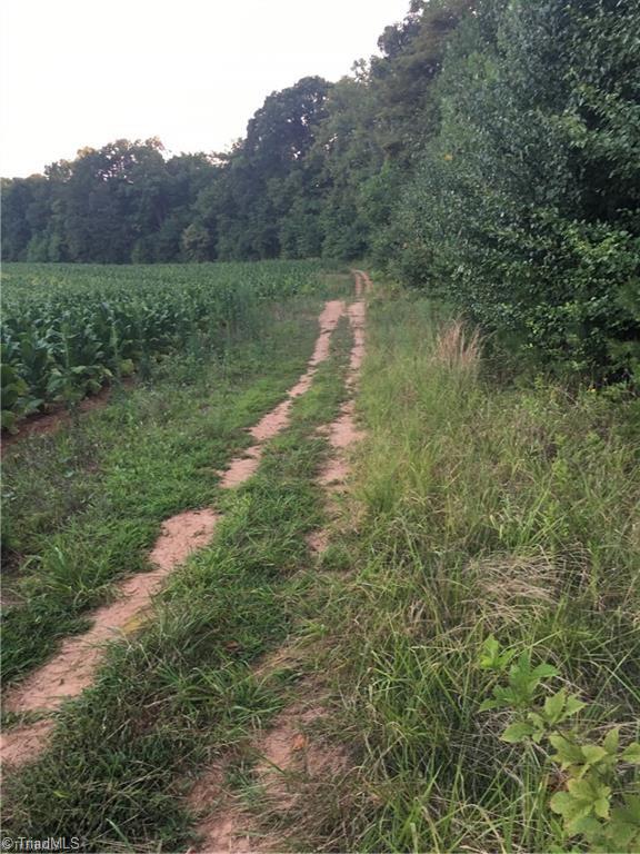 10.9-ac Creed Road Ararat, NC 27007 - Photo 7 of 9 Gallery Image 7