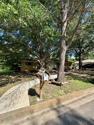 a view of a backyard with a tree