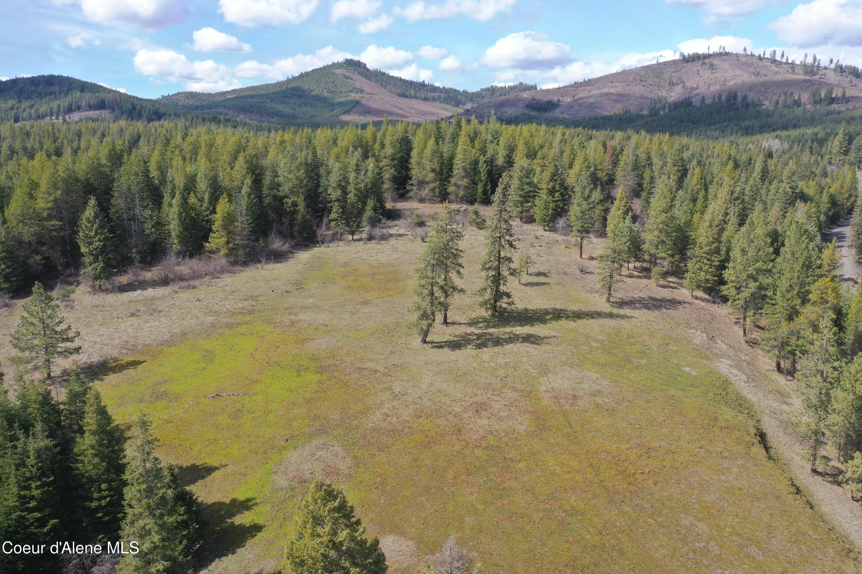 Nka Crosby Road St. Maries, ID 83861 - Photo 1 of 20 Land