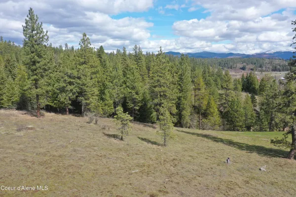 $109,900 | Nka Crosby Road, St. Maries, ID 83861