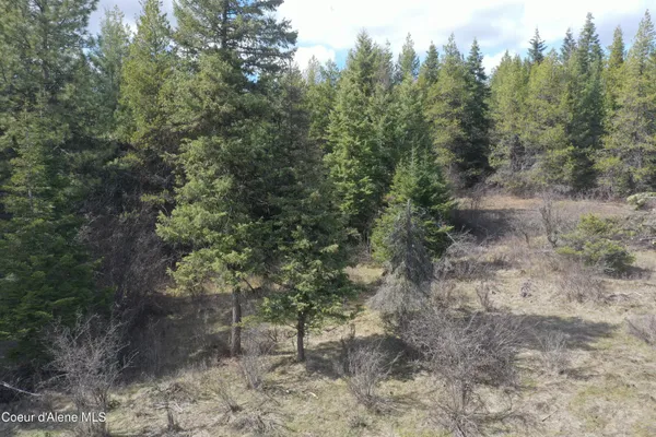 $109,900 | Nka Crosby Road, St. Maries, ID 83861