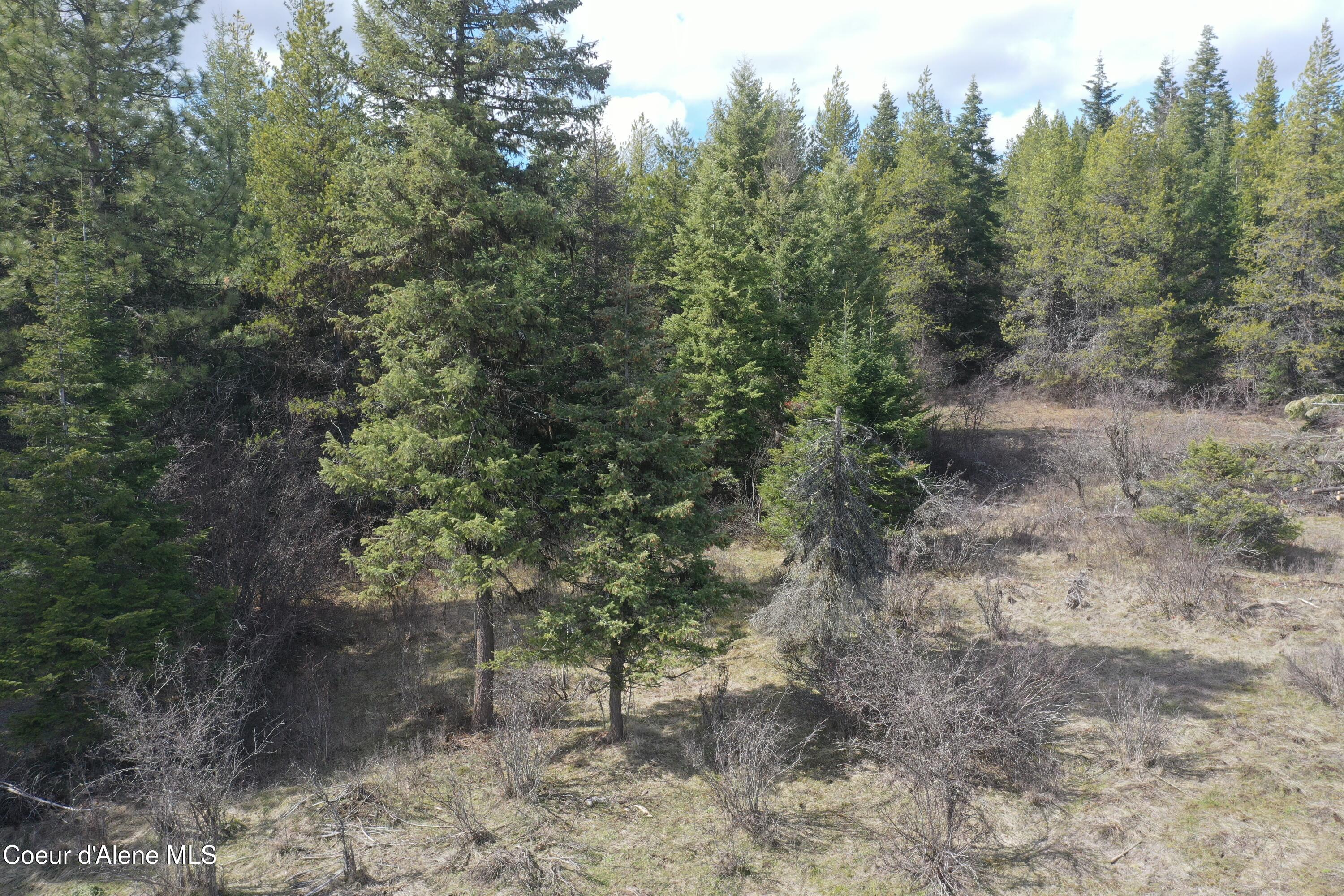 Nka Crosby Road St. Maries, ID 83861 - Photo 18 of 20 DJI_0529