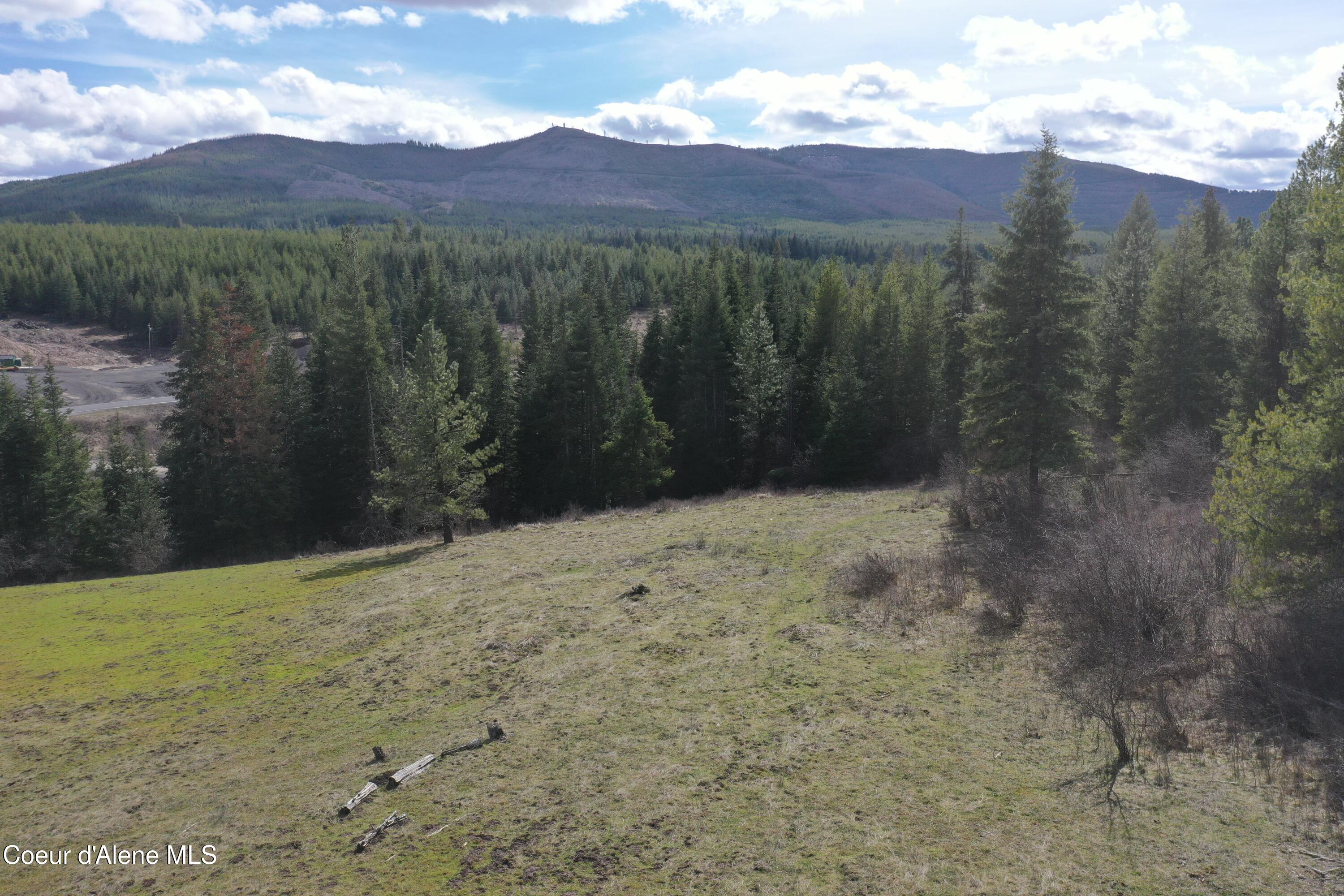 Nka Crosby Road St. Maries, ID 83861 - Photo 19 of 20 DJI_0530