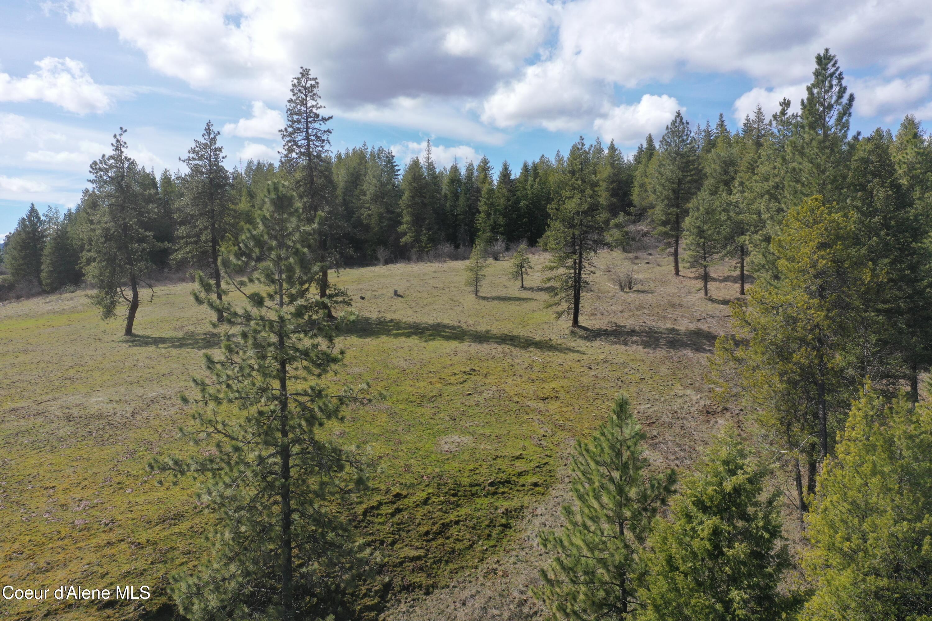 Nka Crosby Road St. Maries, ID 83861 - Photo 3 of 20 DJI_0511