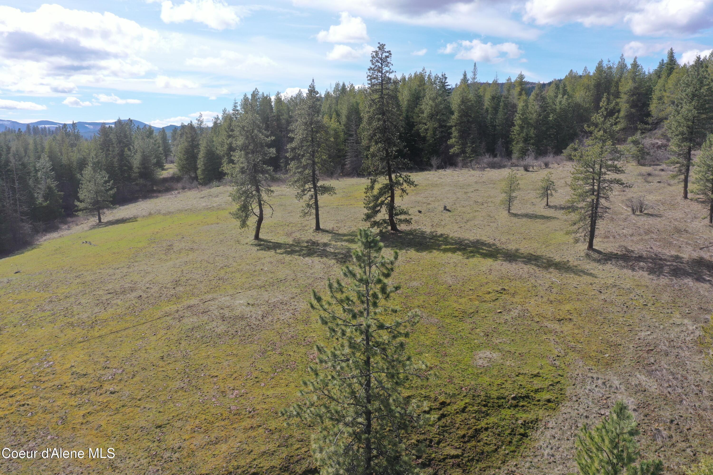 Nka Crosby Road St. Maries, ID 83861 - Photo 4 of 20 DJI_0512