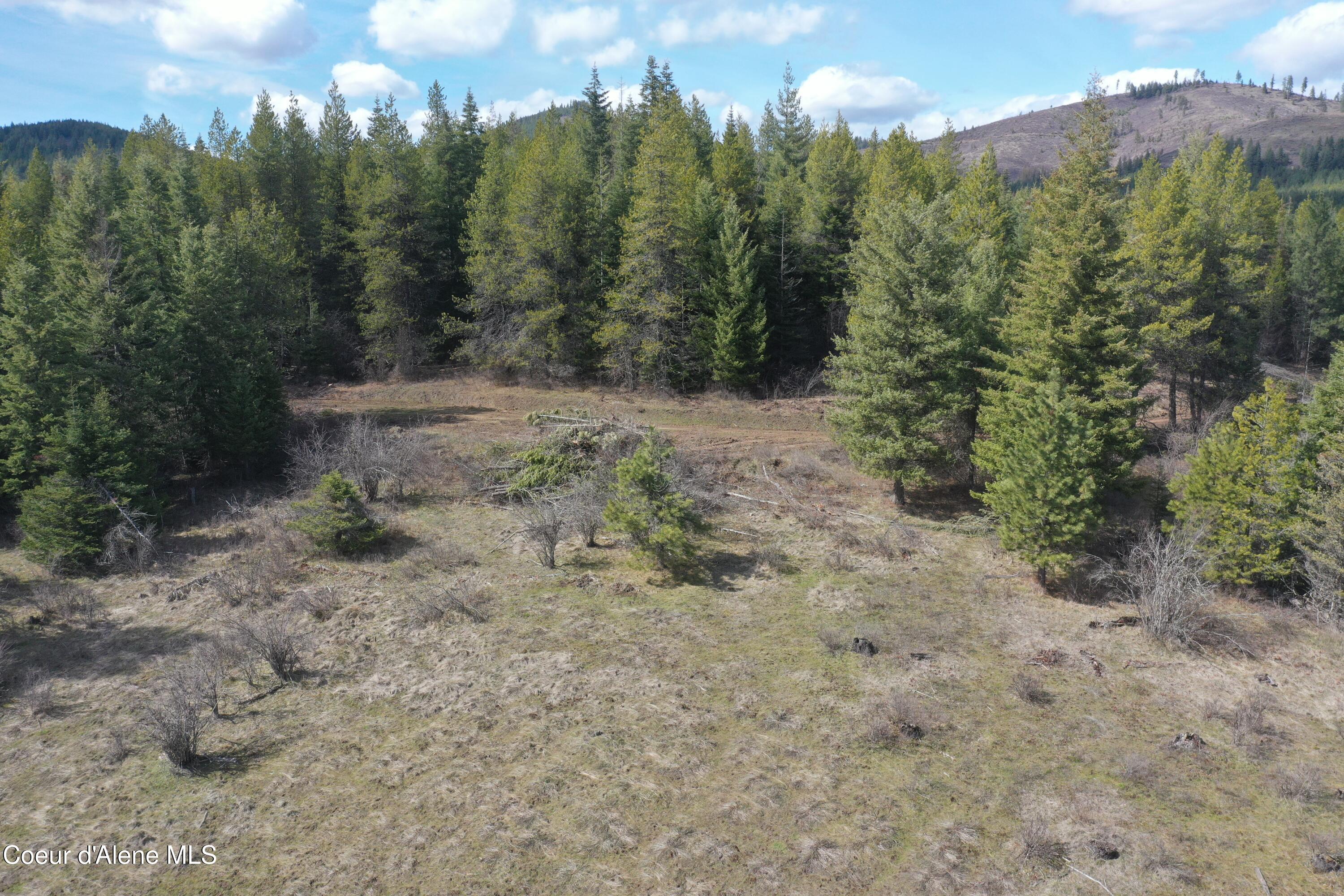 Nka Crosby Road St. Maries, ID 83861 - Photo 5 of 20 DJI_0513