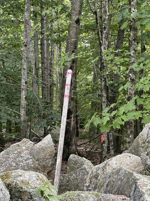 0 Libby Road, Unit LOT #9 West Newfield, ME 04095 - Photo 7 of 15 7
